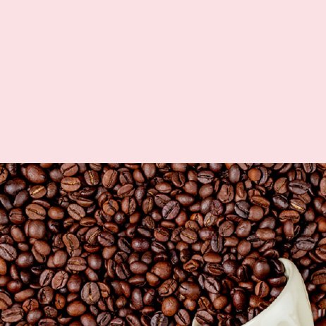 Profesyonel Demleme Ekipmanları